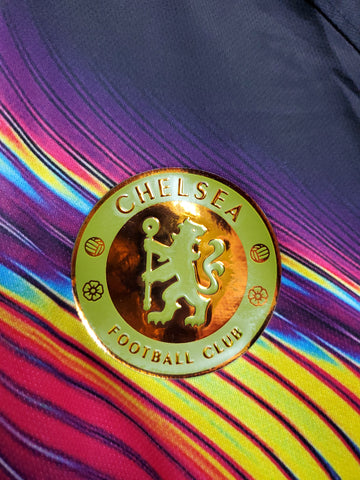 Chelsea Pre-Match Training Suit Soccer Football Jersey 2023-24