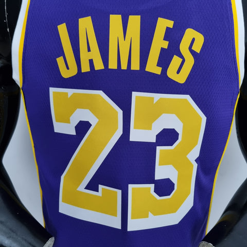 Los Angeles Lakers James #23 Jordan Purple  NBA Jersey 75th Anniversary