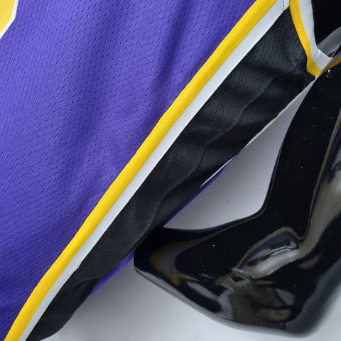 Los Angeles Lakers James #6 Jordan Purple NBA Jersey 75th Anniversary