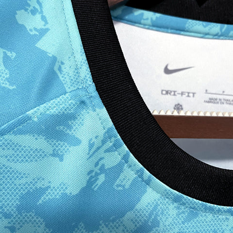 Chelsea Training Suit Sky Blue Soccer Football Training Kit 2023-24