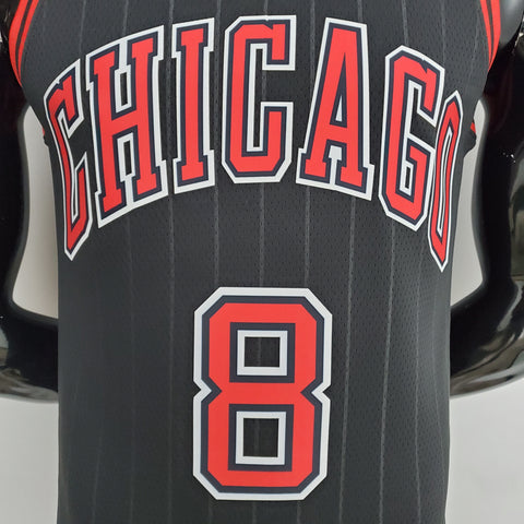 Chicago Bulls LaVine#8 Flyers Black NBA Jersey 75th Anniversary