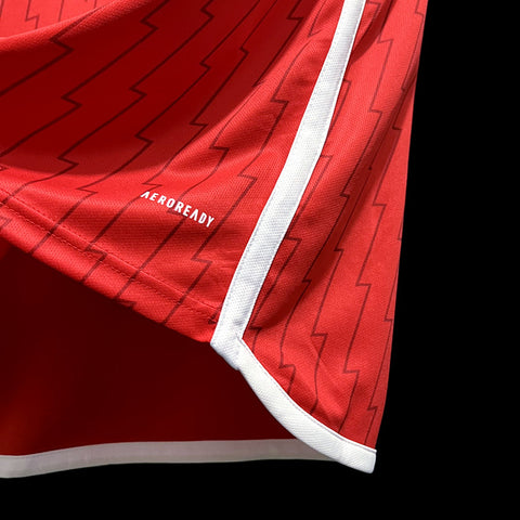 Arsenal Home Soccer Football Jersey Long sleeve 2023-24