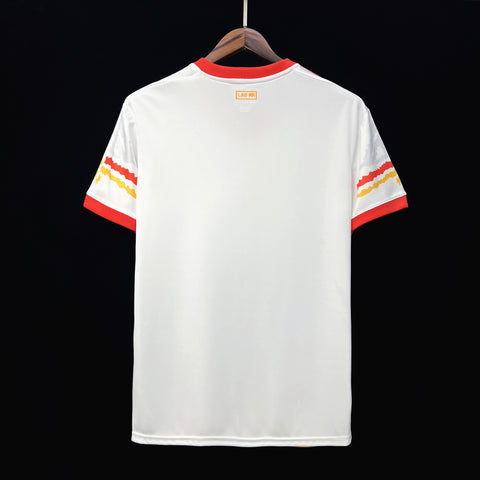 SC Internacional Soccer Football Jersey Special Edition 2023