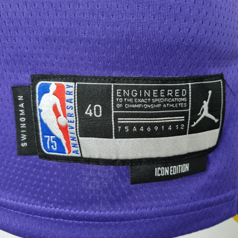 Los Angeles Lakers James #6 Jordan Purple NBA Jersey 75th Anniversary