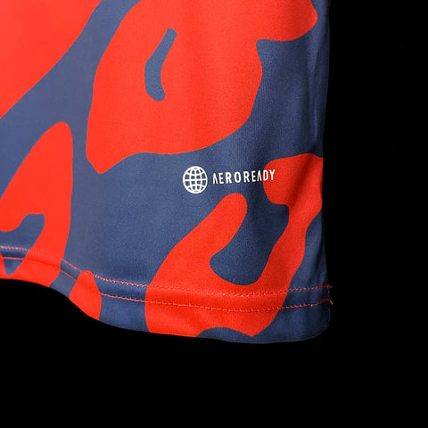 Arsenal Pre-match Training Red Soccer Football Training Kit 2023-24