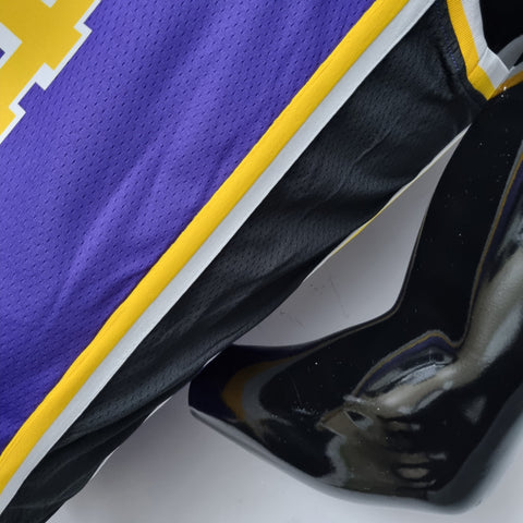 Los Angeles Lakers BRYANT#24 Jordan Purple NBA Jersey 75th Anniversary