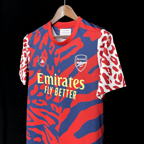 Arsenal Pre-match Training Red Soccer Football Training Kit 2023-24