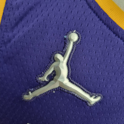 Los Angeles Lakers James #23 Jordan Purple  NBA Jersey 75th Anniversary