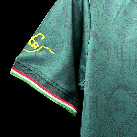 Palmeiras Dark Green Polo Soccer Football Special Fan Edition Jersey 2022-23